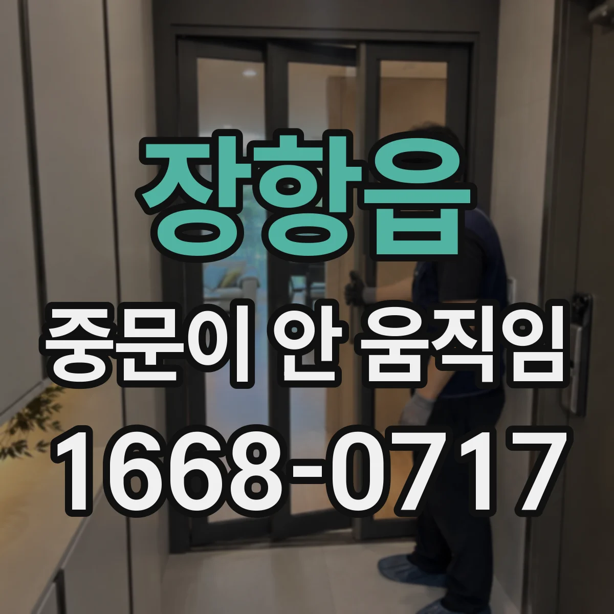 장항읍 중문이 안 움직임