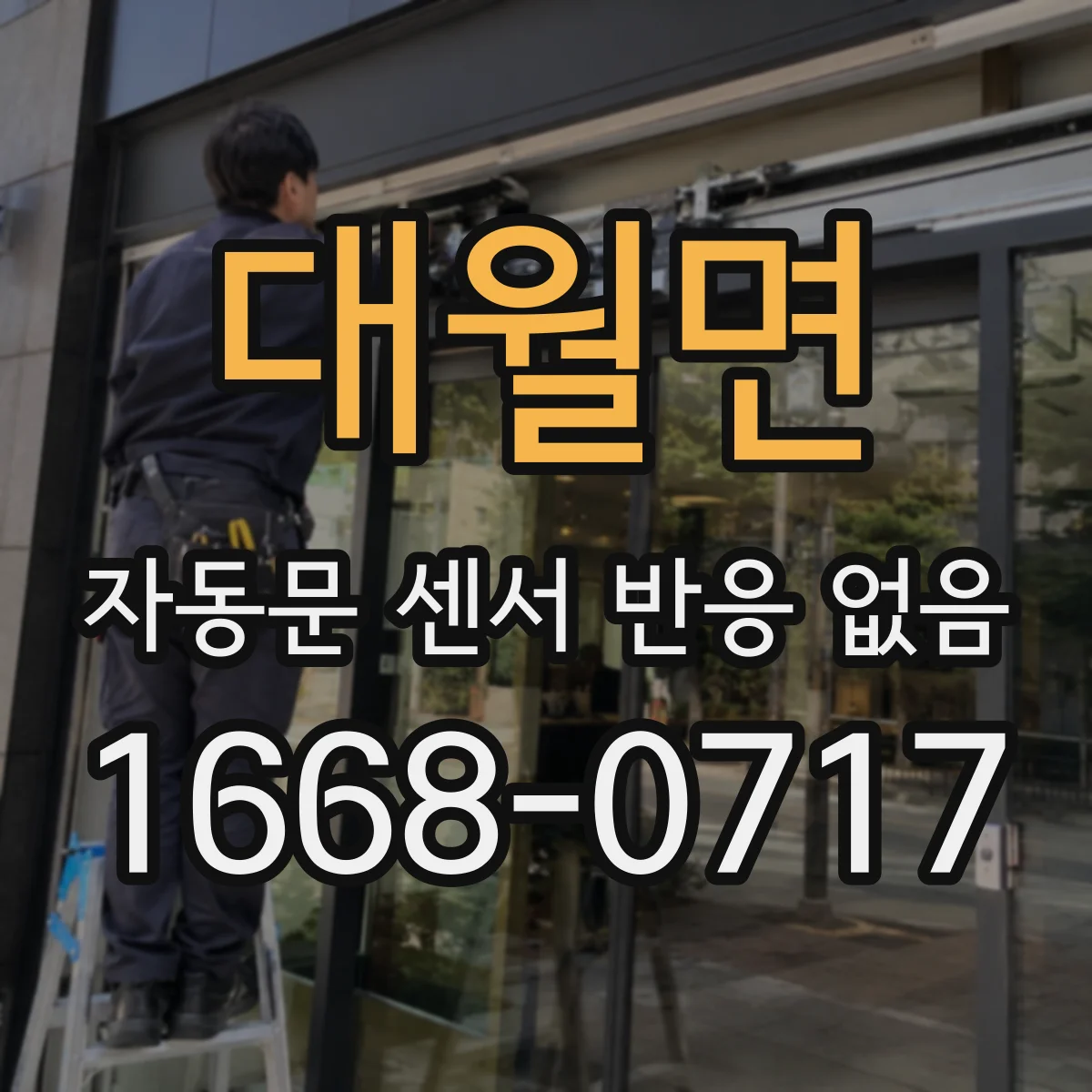 대월면 자동문 센서 반응 없음