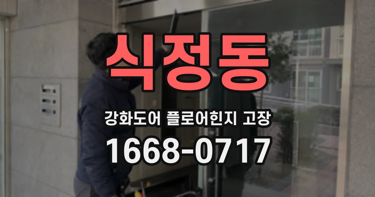 식정동 강화도어 플로어힌지 고장