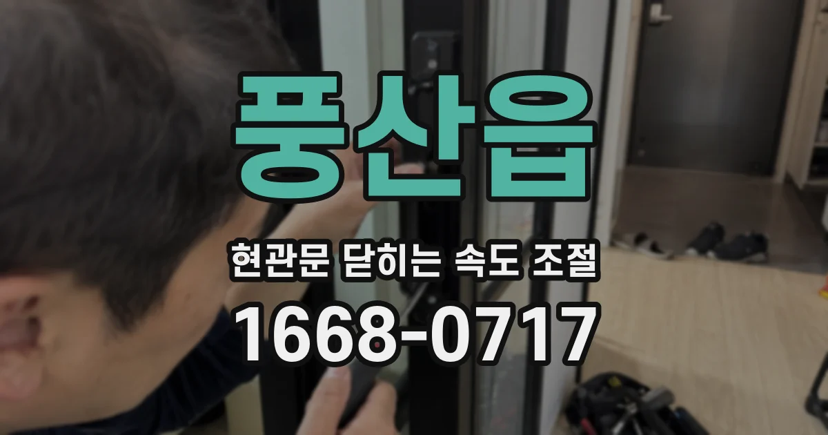 풍산읍 현관문 닫히는 속도 조절