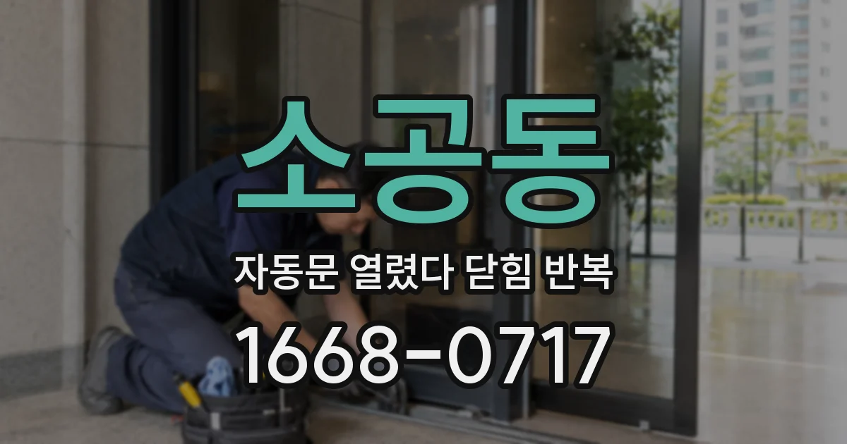 소공동 자동문 열렸다 닫힘 반복