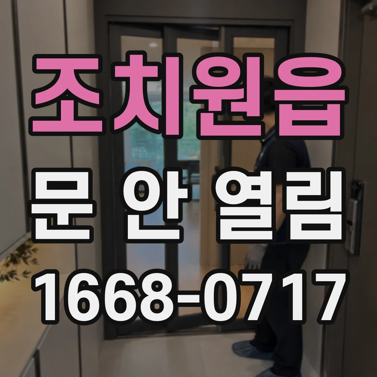 조치원읍 문 안 열림