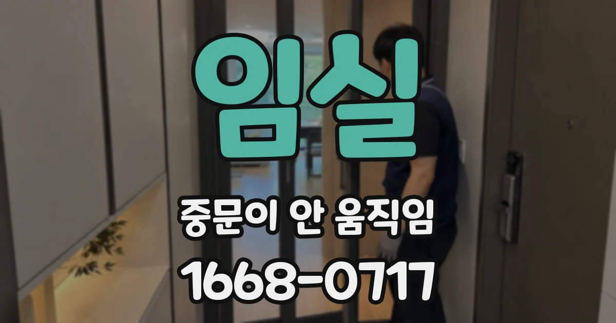 임실 중문이 안 움직임