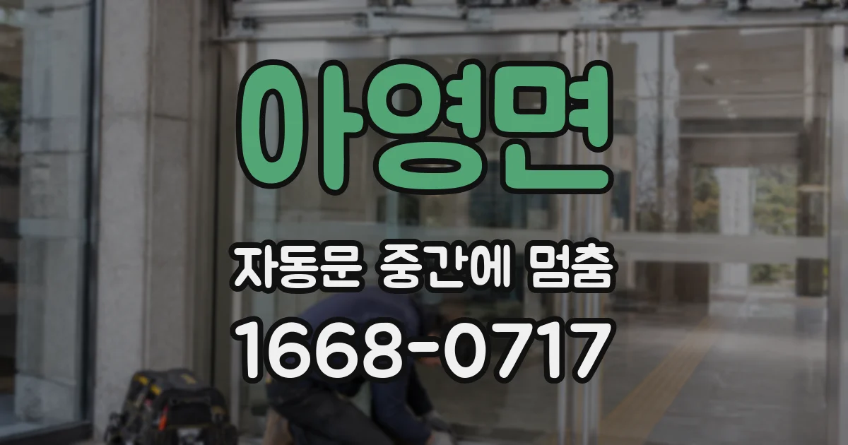 아영면 자동문 중간에 멈춤