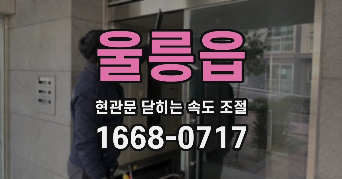 울릉읍 현관문 닫히는 속도 조절
