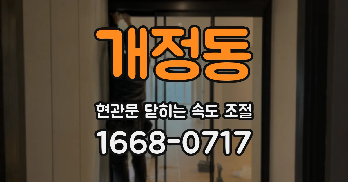 개정동 현관문 닫히는 속도 조절