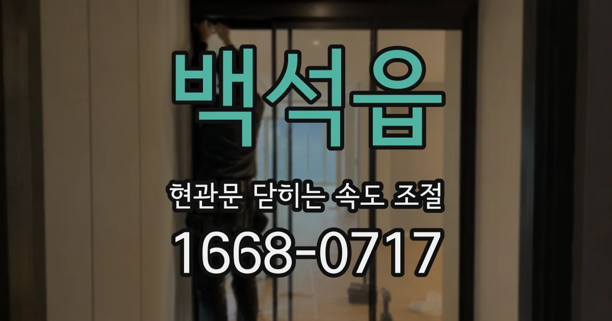 백석읍 현관문 닫히는 속도 조절