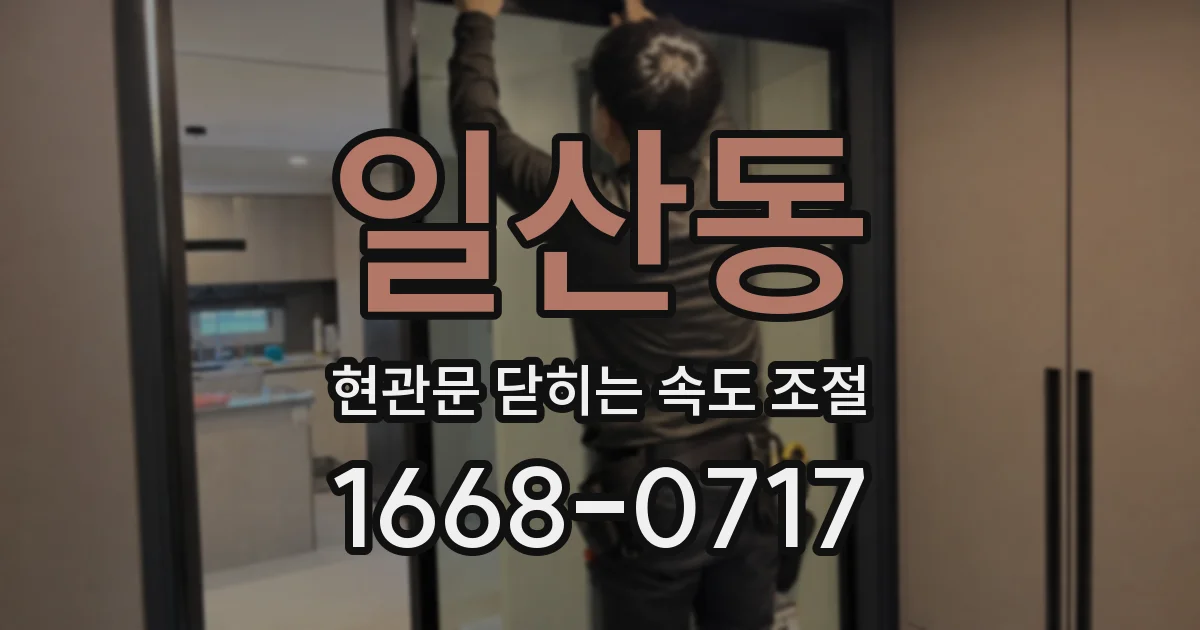 일산동 현관문 닫히는 속도 조절