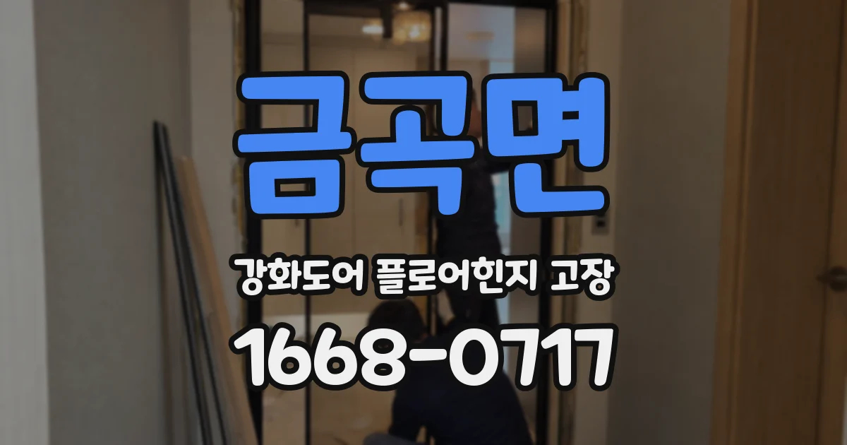 금곡면 강화도어 플로어힌지 고장