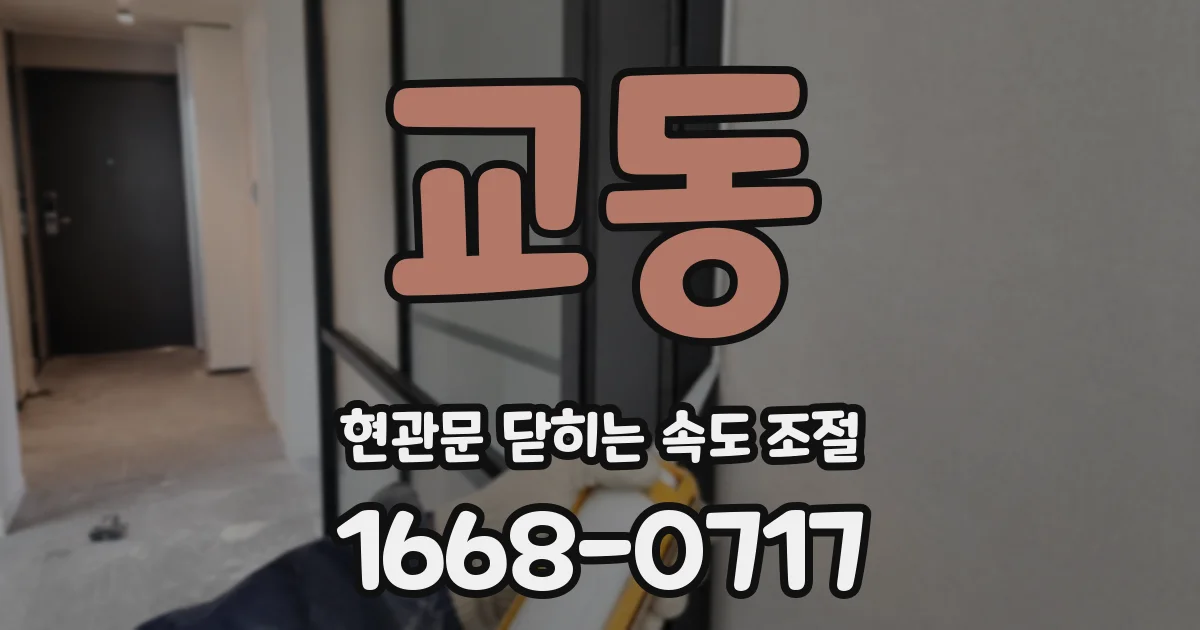 교동 현관문 닫히는 속도 조절
