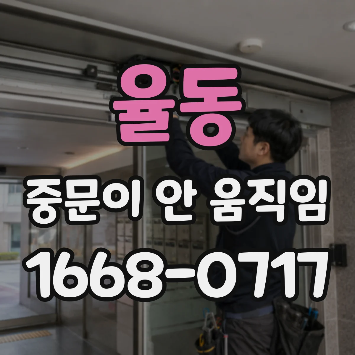 율동 중문이 안 움직임