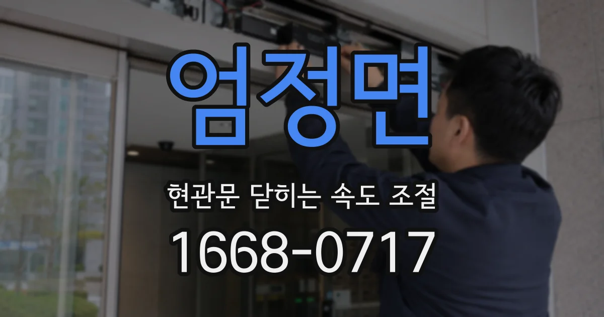 엄정면 현관문 닫히는 속도 조절