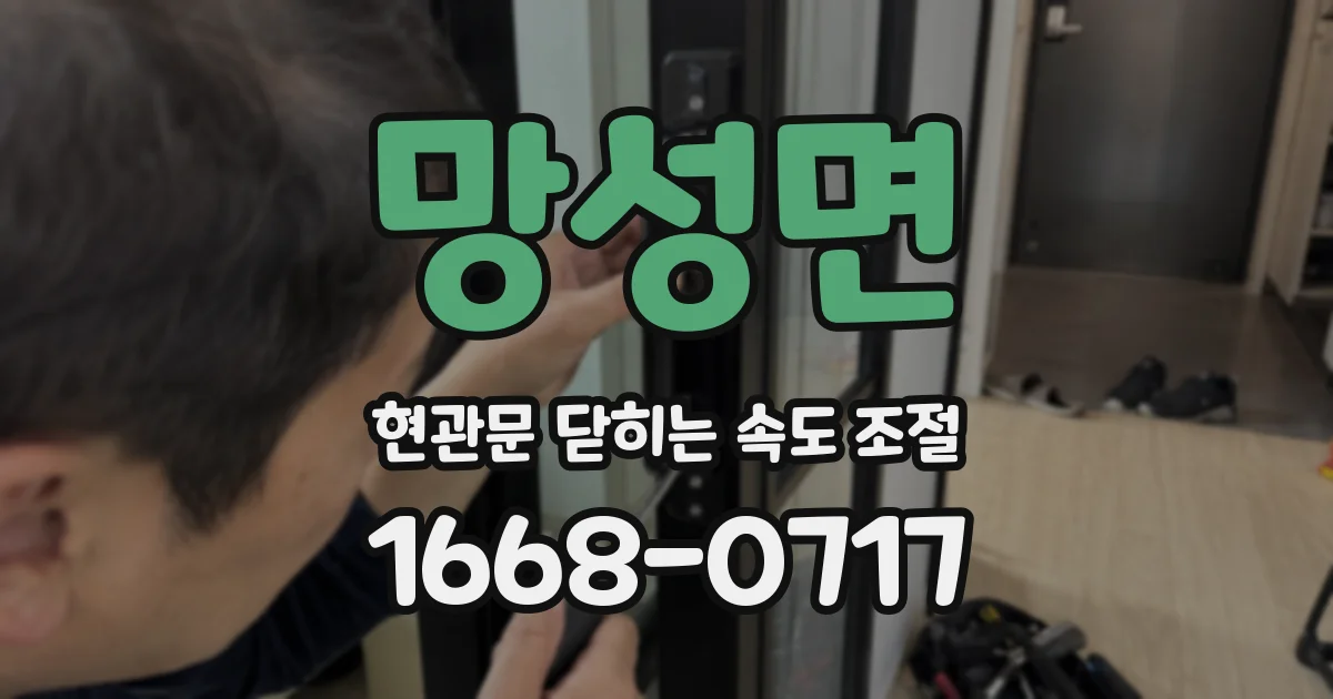 망성면 현관문 닫히는 속도 조절