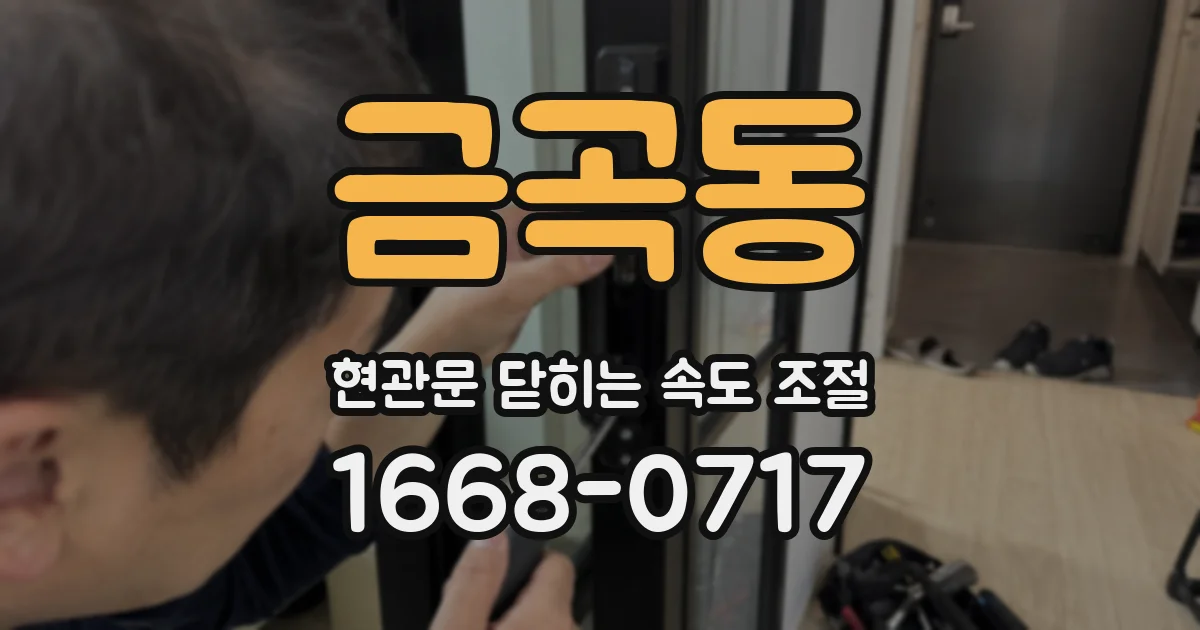 금곡동 현관문 닫히는 속도 조절