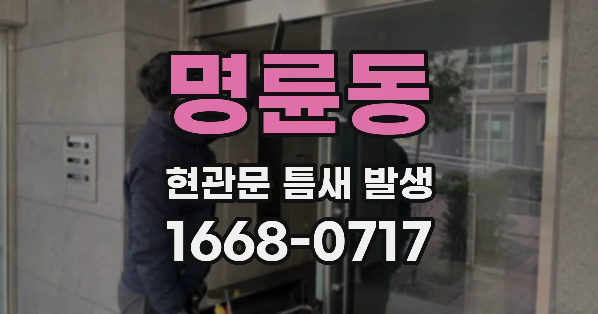 명륜동 현관문 틈새 발생