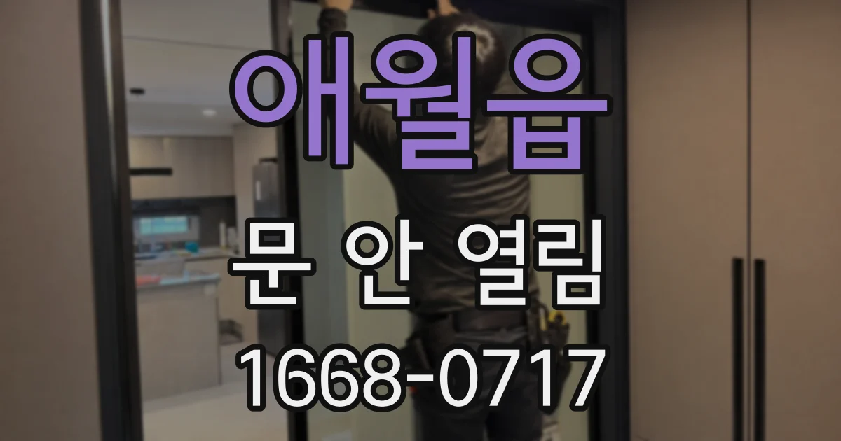 애월읍 문 안 열림