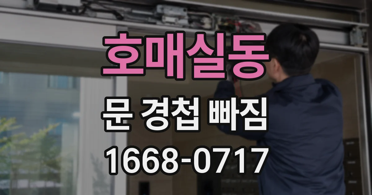 호매실동 문 경첩 빠짐