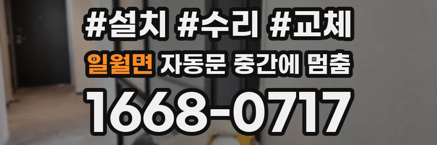일월면 자동문 중간에 멈춤