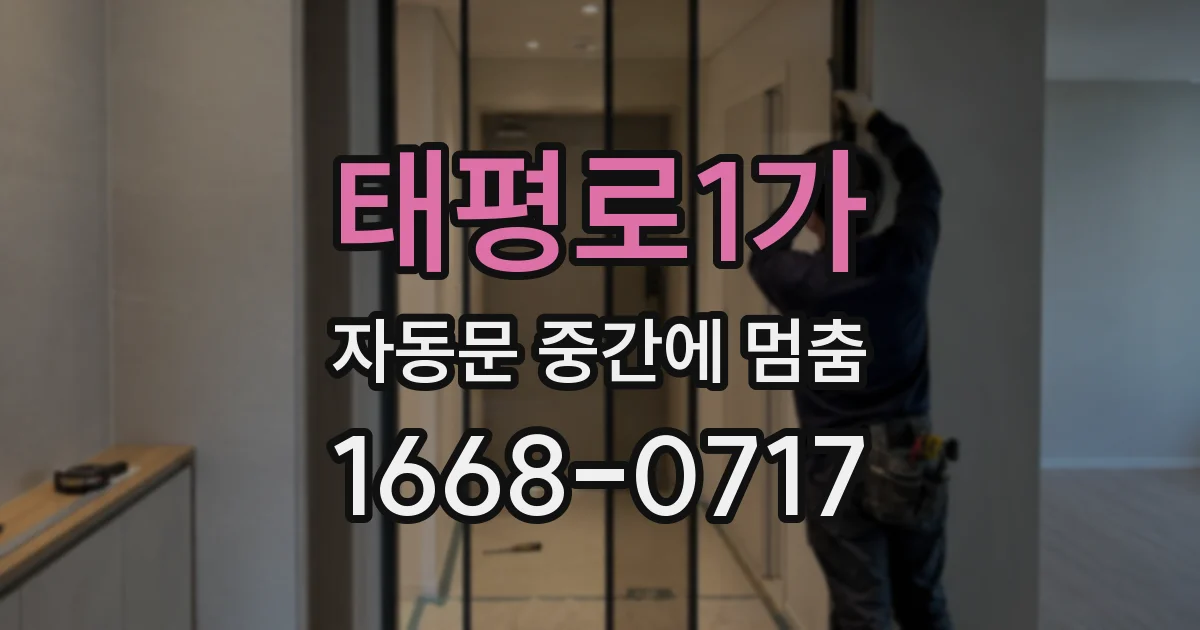 태평로1가 자동문 중간에 멈춤
