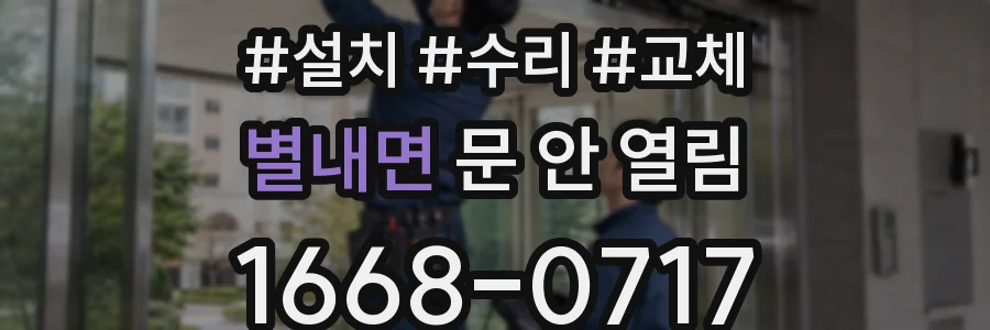 별내면 문 안 열림