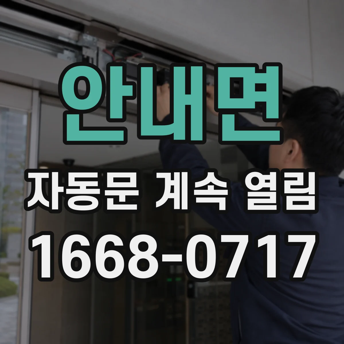 안내면 자동문 계속 열림