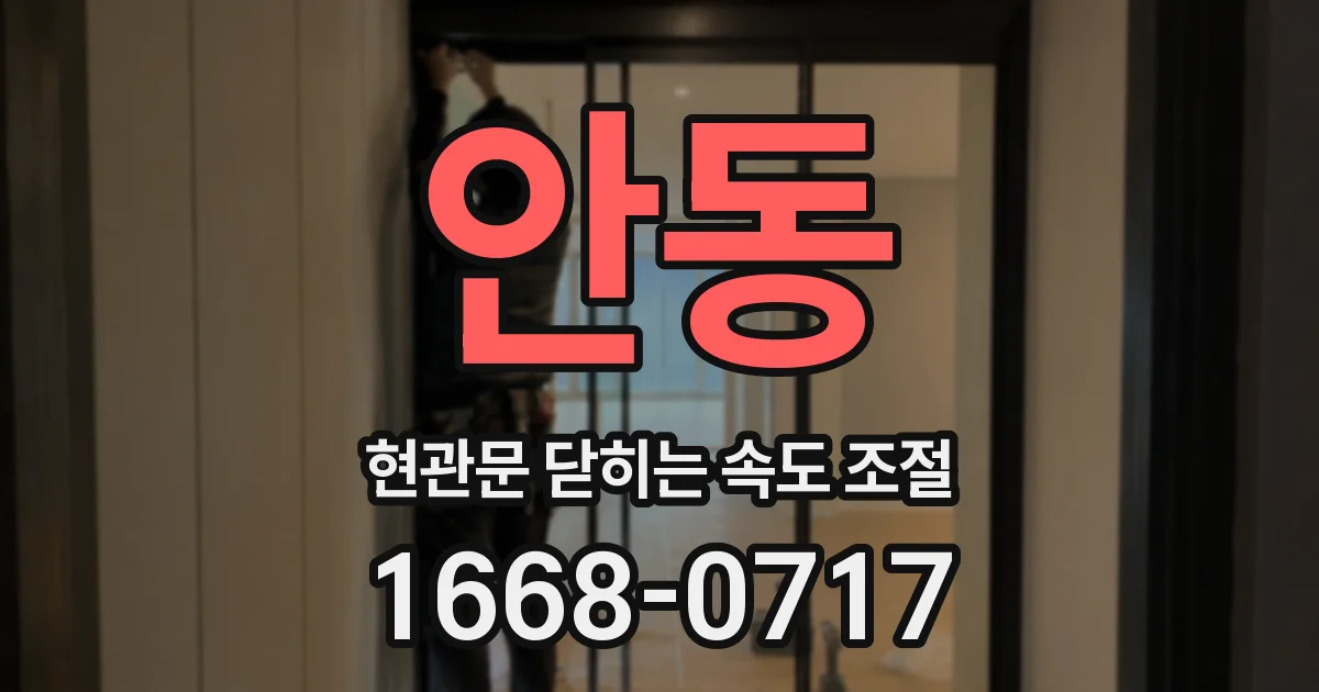 안동 현관문 닫히는 속도 조절