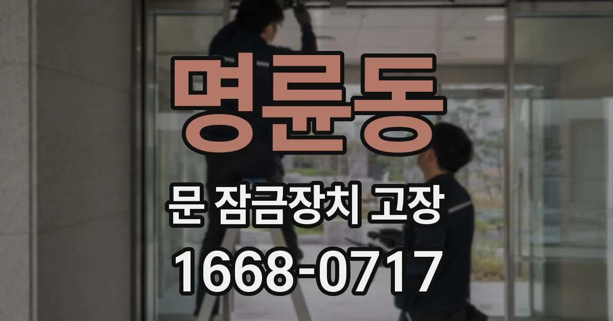 명륜동 문 잠금장치 고장