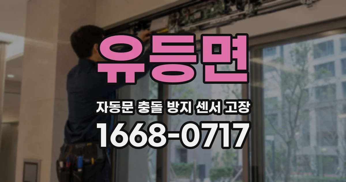 유등면 자동문 충돌 방지 센서 고장