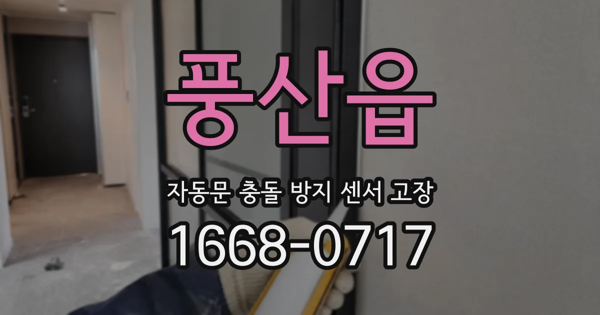 풍산읍 자동문 충돌 방지 센서 고장