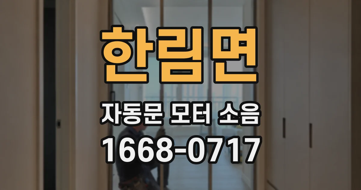 한림면 자동문 모터 소음