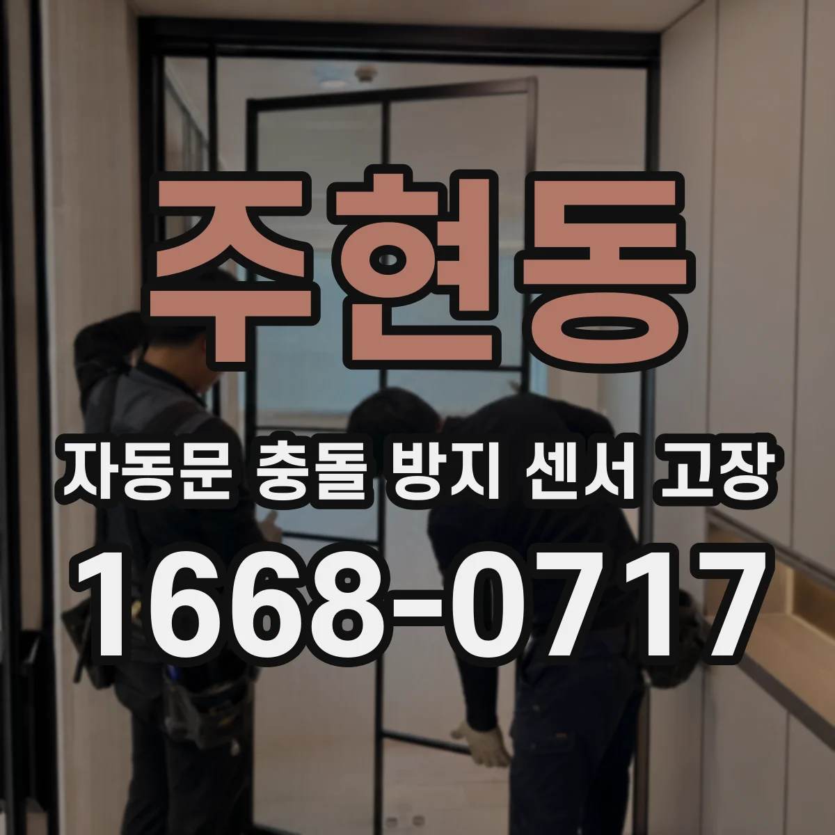 주현동 자동문 충돌 방지 센서 고장