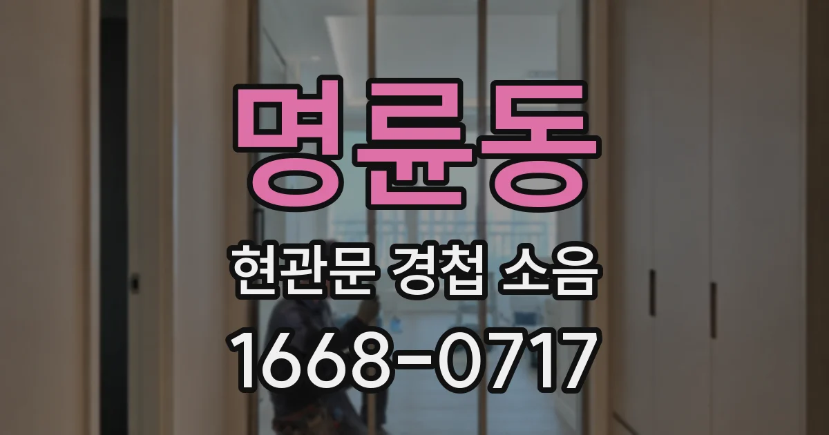 명륜동 현관문 경첩 소음