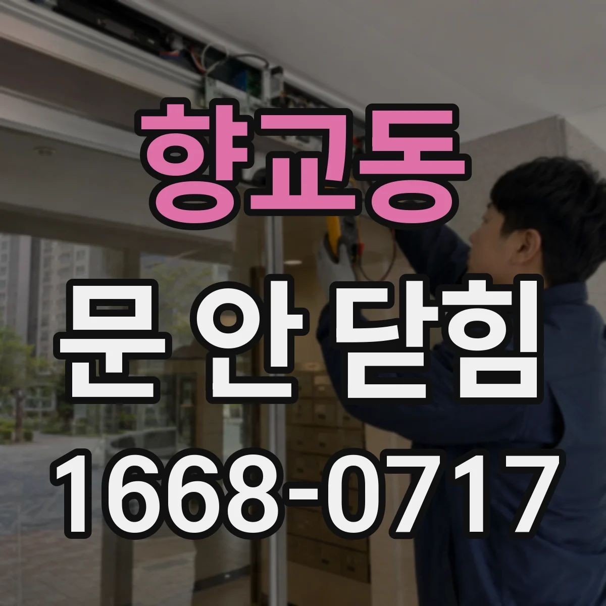 향교동 문 안 닫힘