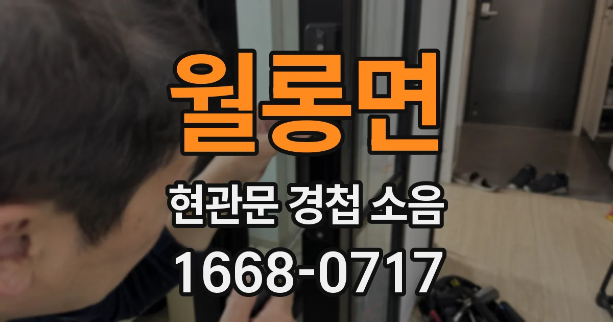 월롱면 현관문 경첩 소음