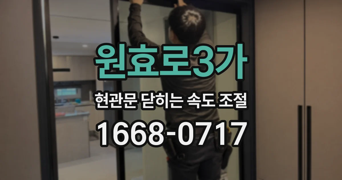 원효로3가 현관문 닫히는 속도 조절