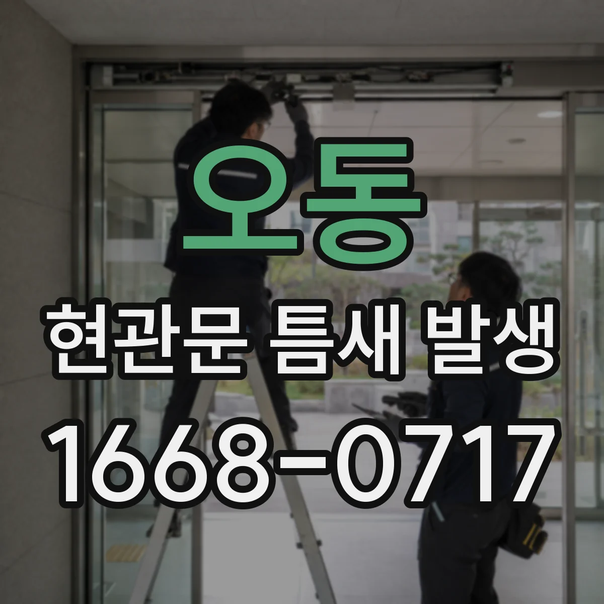 오동 현관문 틈새 발생
