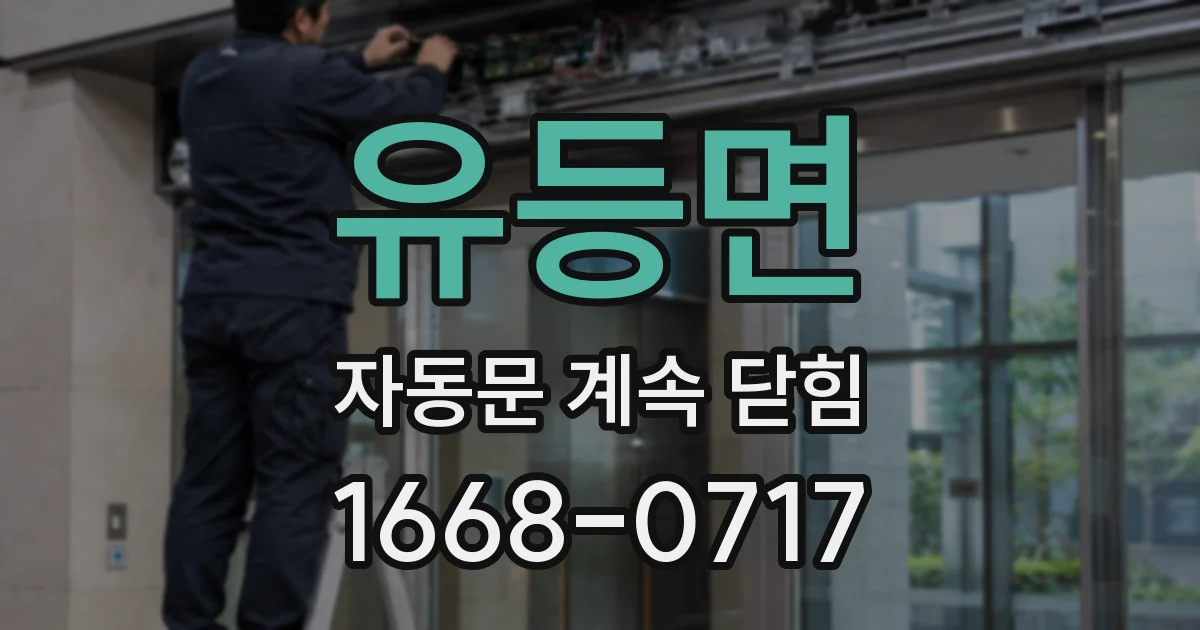 유등면 자동문 계속 닫힘