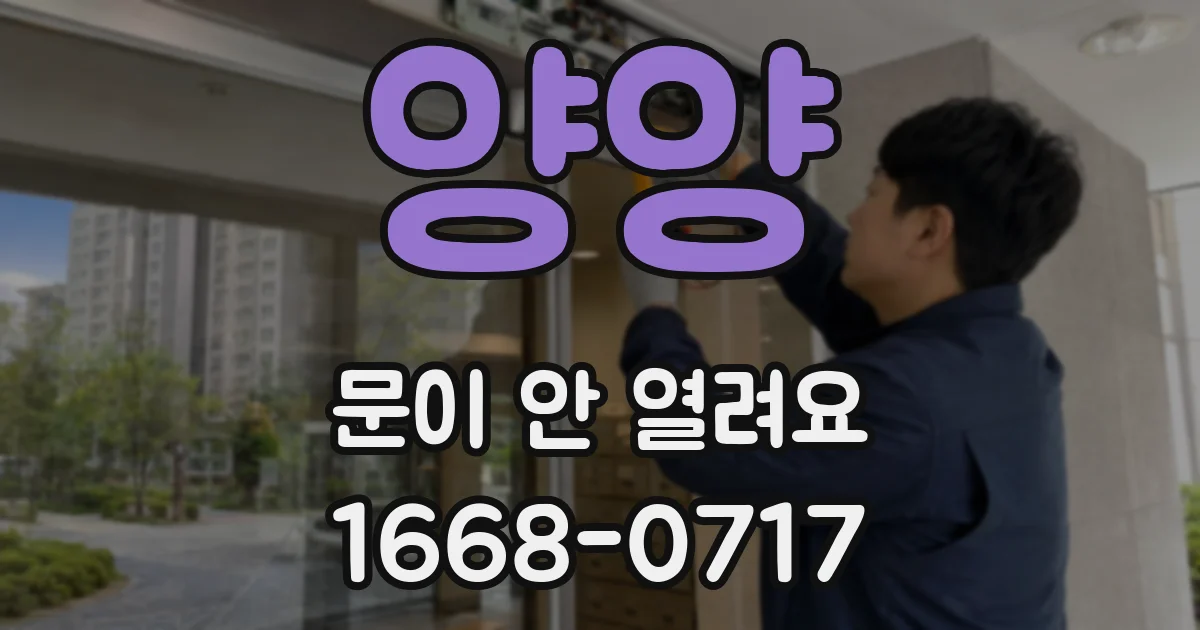 양양 문이 안 열려요