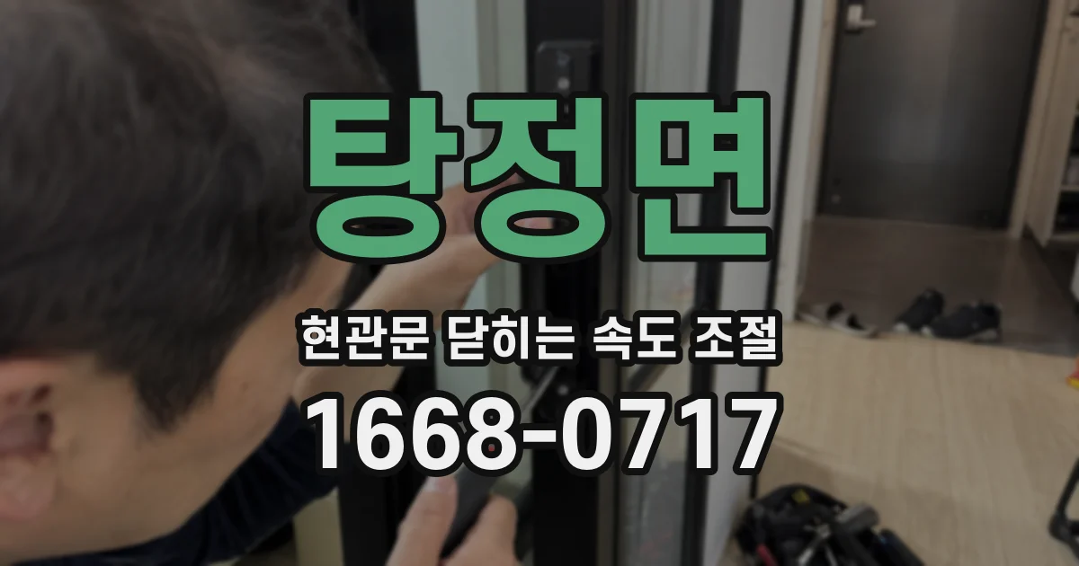 탕정면 현관문 닫히는 속도 조절