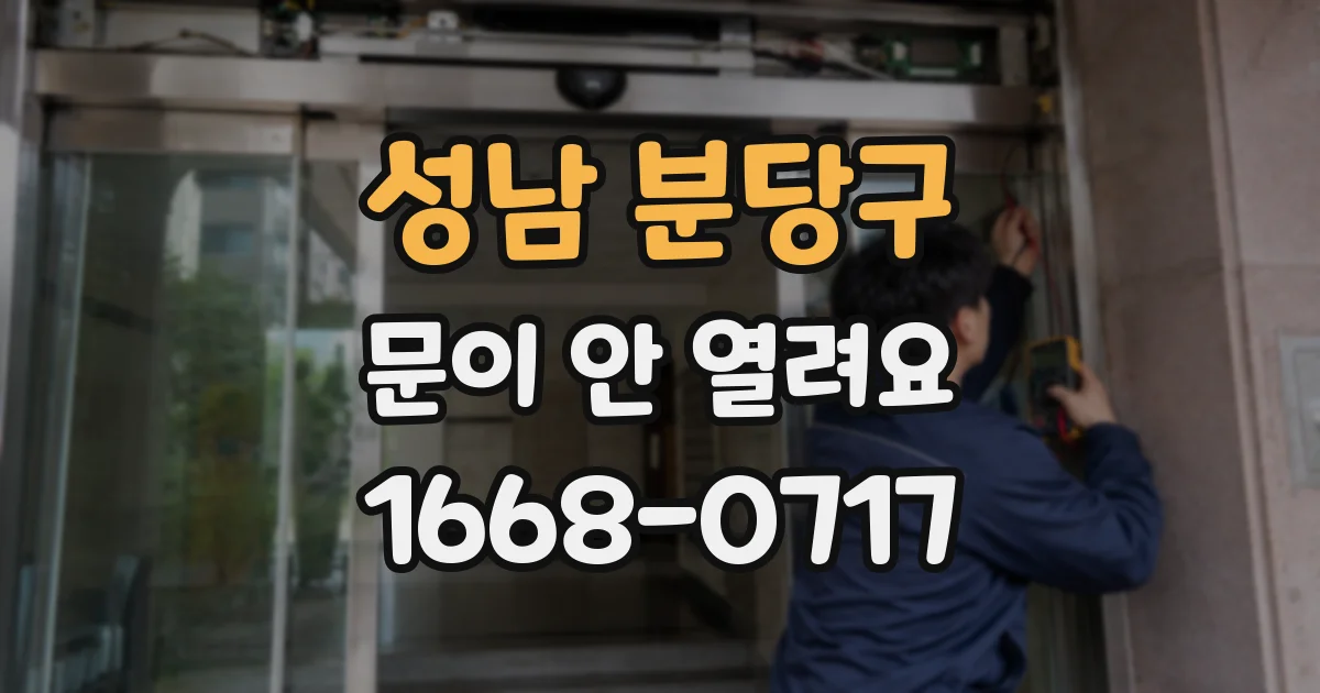 성남 분당구 문이 안 열려요