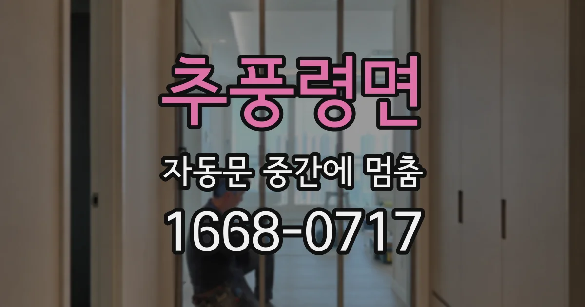추풍령면 자동문 중간에 멈춤