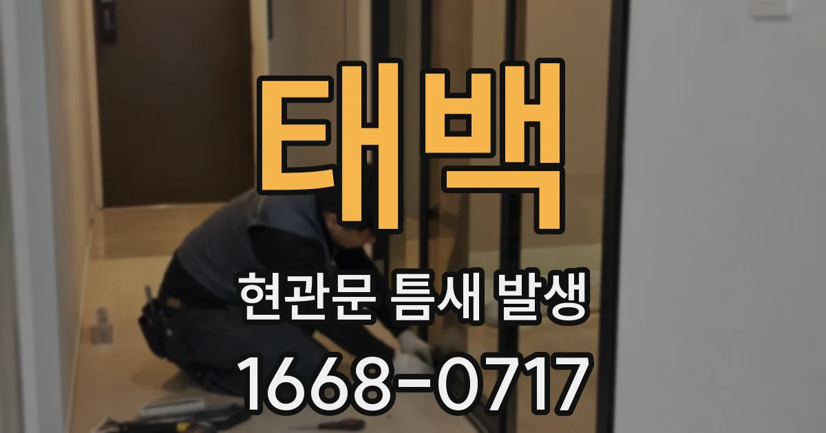 태백 현관문 틈새 발생