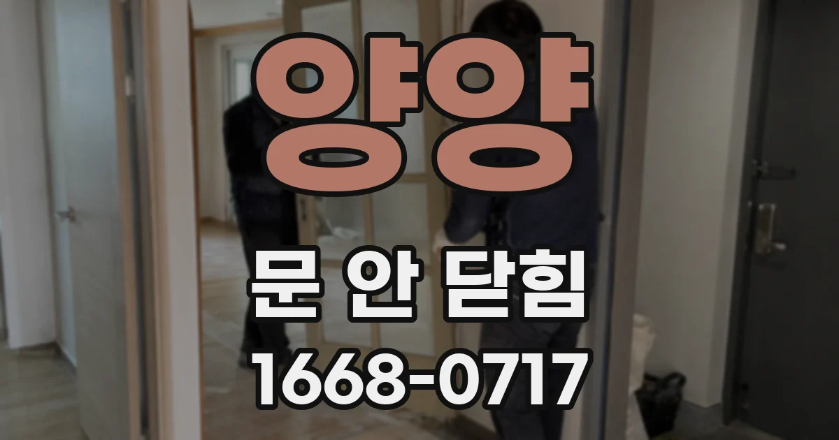 양양 문 안 닫힘