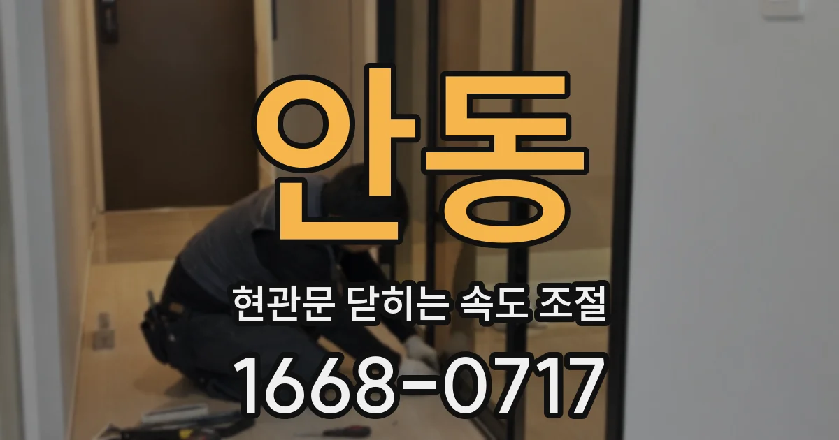 안동 현관문 닫히는 속도 조절