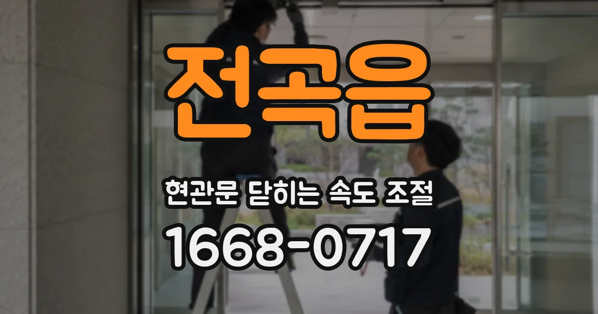 전곡읍 현관문 닫히는 속도 조절