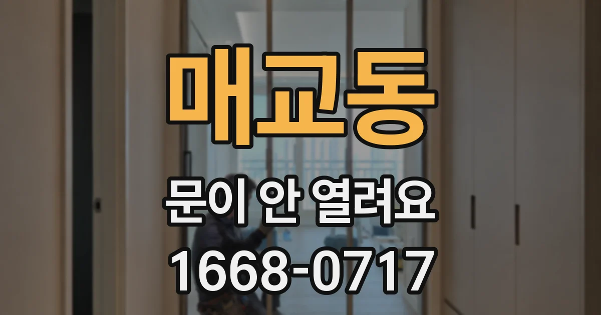 매교동 문이 안 열려요