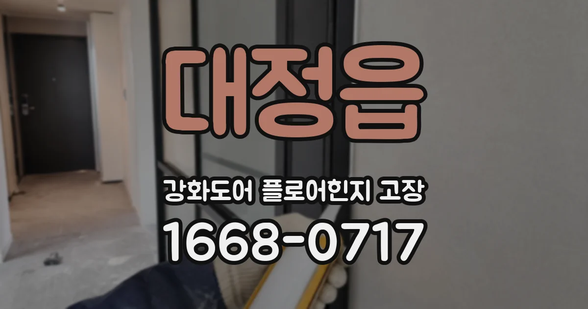 대정읍 강화도어 플로어힌지 고장