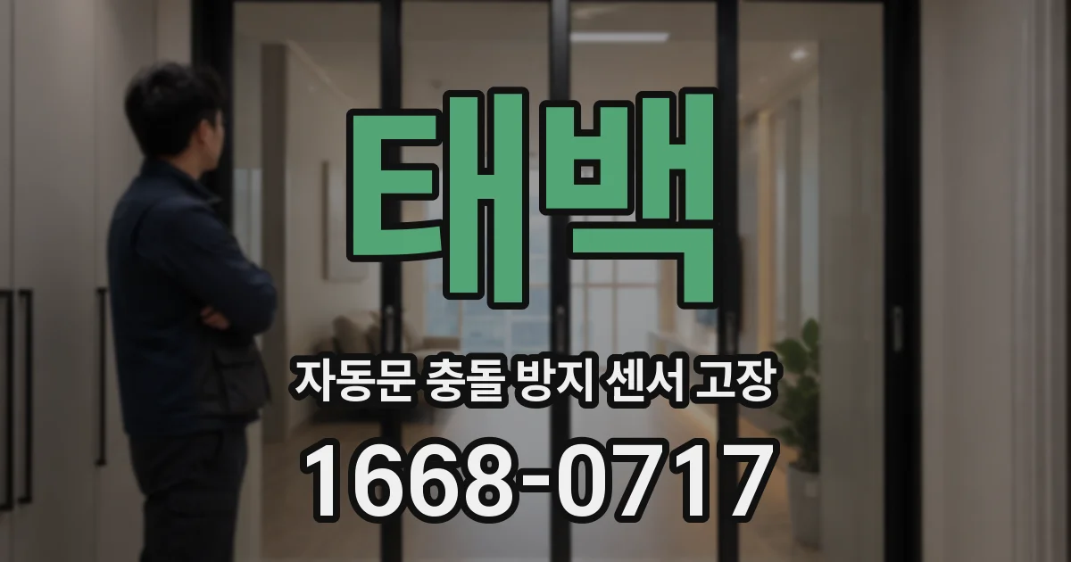 태백 자동문 충돌 방지 센서 고장