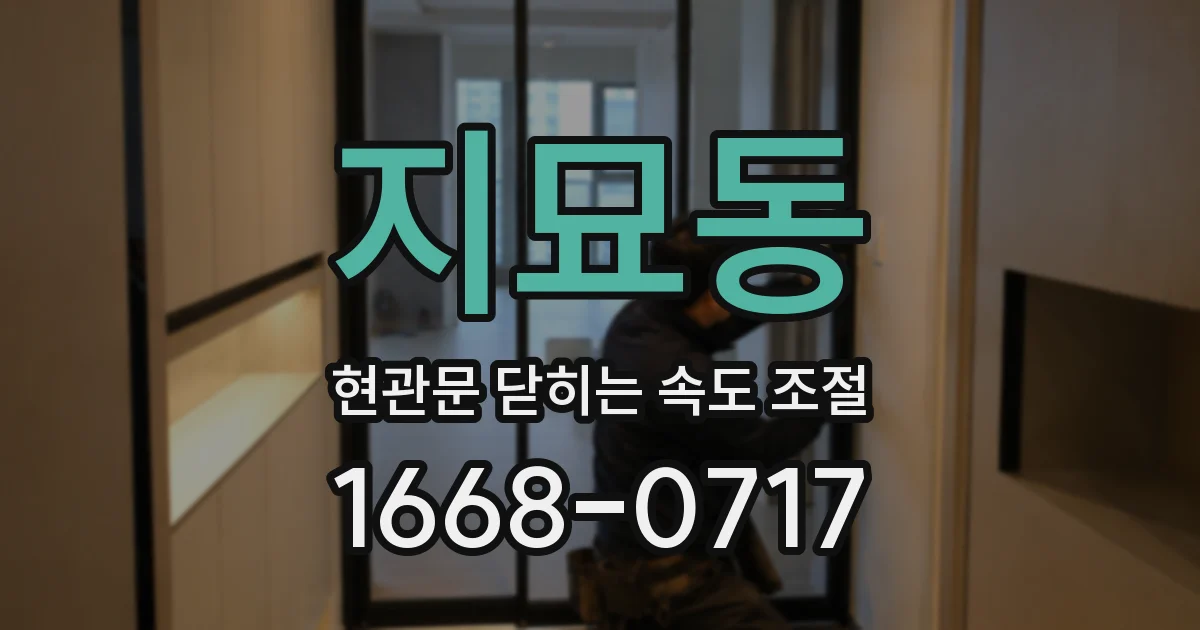지묘동 현관문 닫히는 속도 조절