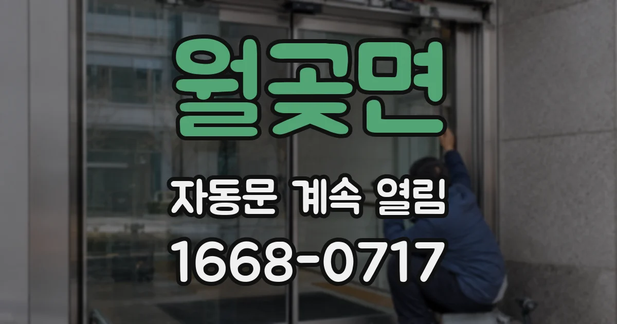 월곶면 자동문 계속 열림
